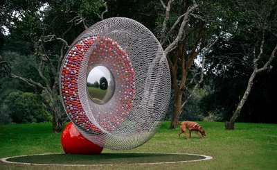 Infinite Horizons: Gender Equality Through 1001 Spheres